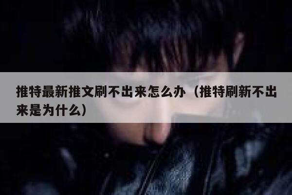 推特最新推文刷不出来怎么办（推特刷新不出来是为什么） 第1张