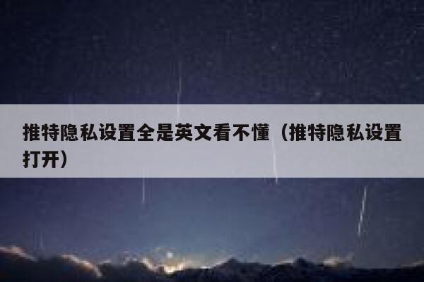 推特隐私设置全是英文看不懂（推特隐私设置打开） 第1张