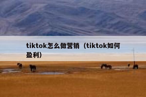 tiktok怎么做营销（tiktok如何盈利） 第1张