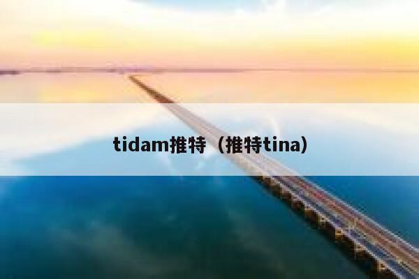 tidam推特（推特tina） 第1张