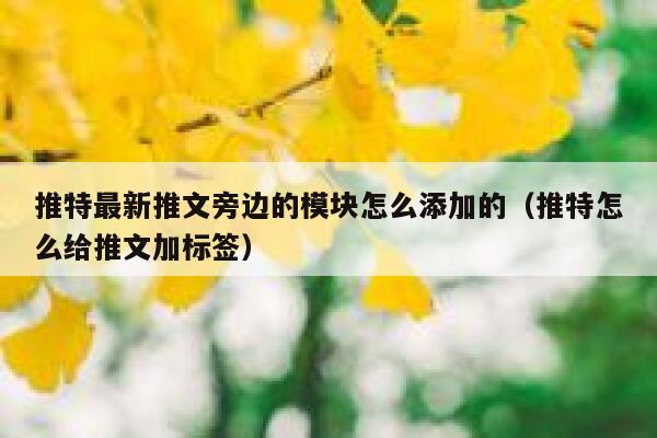 推特最新推文旁边的模块怎么添加的（推特怎么给推文加标签） 第1张
