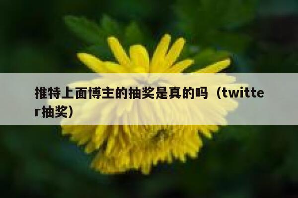 推特上面博主的抽奖是真的吗（twitter抽奖） 第1张