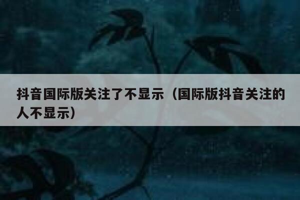 抖音国际版关注了不显示（国际版抖音关注的人不显示） 第1张