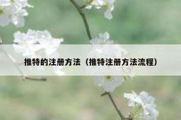 推特的注册方法（推特注册方法流程） 第1张