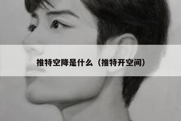 推特空降是什么（推特开空间） 第1张