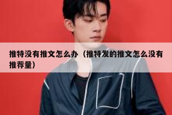 推特没有推文怎么办（推特发的推文怎么没有推荐量） 第1张