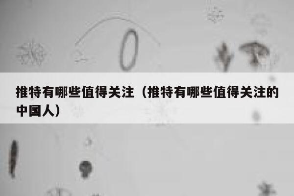 推特有哪些值得关注（推特有哪些值得关注的中国人） 第1张