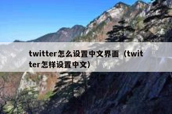 twitter怎么设置中文界面（twitter怎样设置中文） 第1张