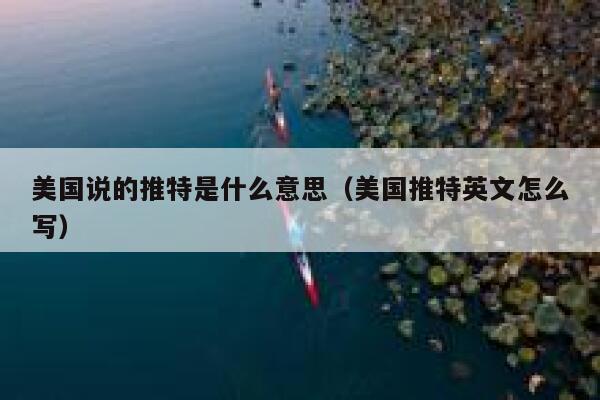 美国说的推特是什么意思（美国推特英文怎么写） 第1张