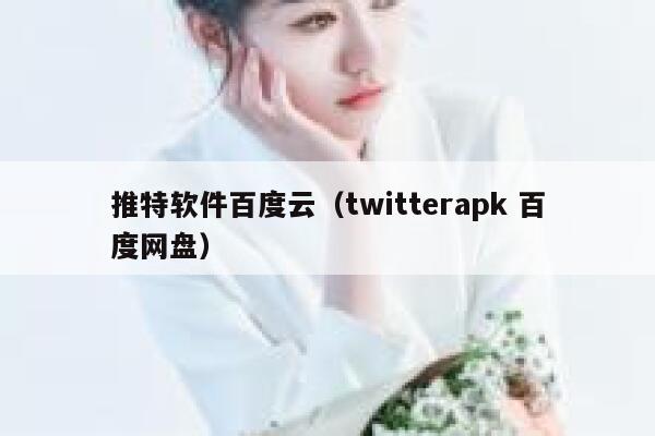 推特软件百度云（twitterapk 百度网盘） 第1张