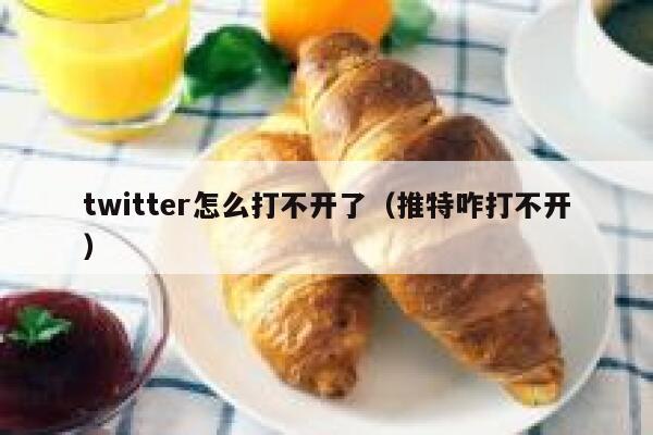 twitter怎么打不开了（推特咋打不开） 第1张
