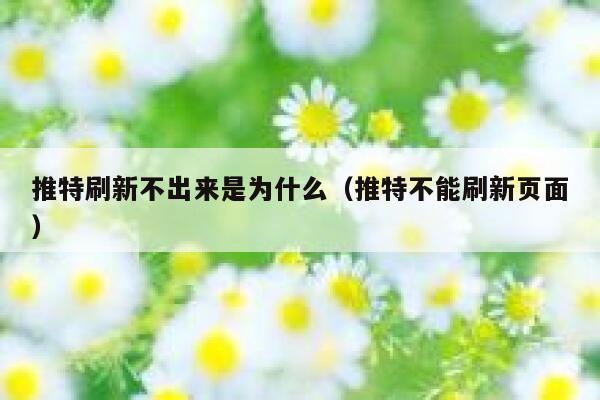 推特刷新不出来是为什么（推特不能刷新页面） 第1张