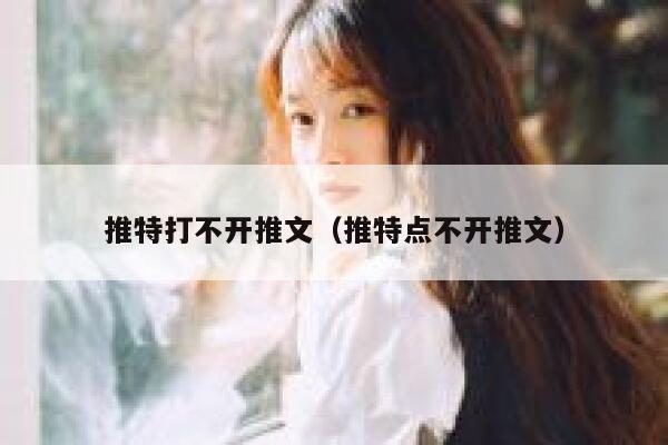 推特打不开推文（推特点不开推文） 第1张