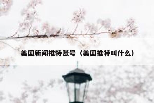 美国新闻推特账号（美国推特叫什么） 第1张