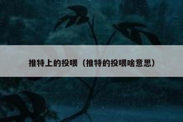 推特上的投喂（推特的投喂啥意思） 第1张