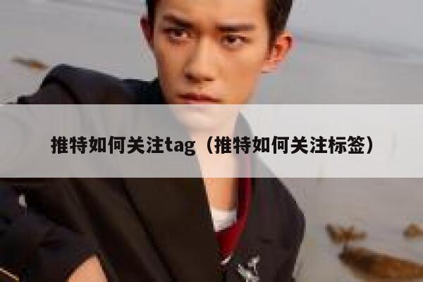 推特如何关注tag（推特如何关注标签） 第1张