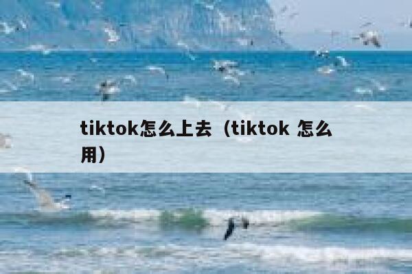tiktok怎么上去（tiktok 怎么用） 第1张