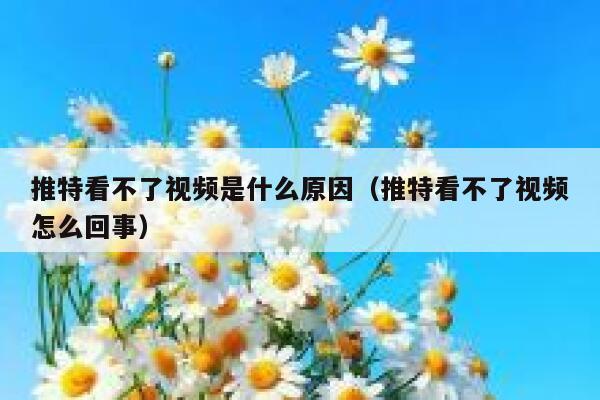 推特看不了视频是什么原因（推特看不了视频怎么回事） 第1张