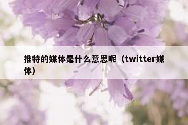 推特的媒体是什么意思呢（twitter媒体） 第1张