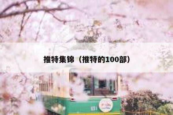 推特集锦（推特的100部） 第1张