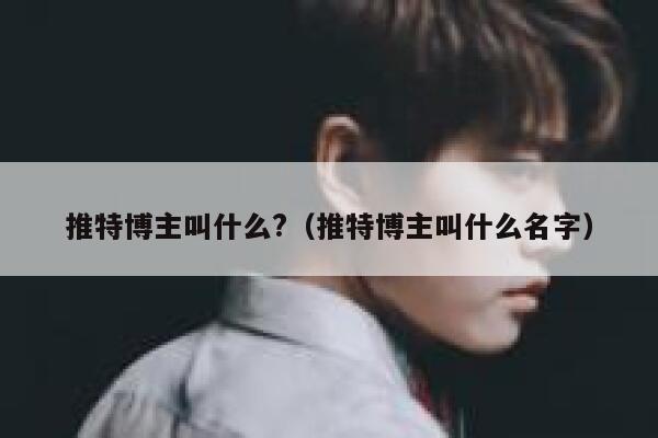 推特博主叫什么?（推特博主叫什么名字） 第1张