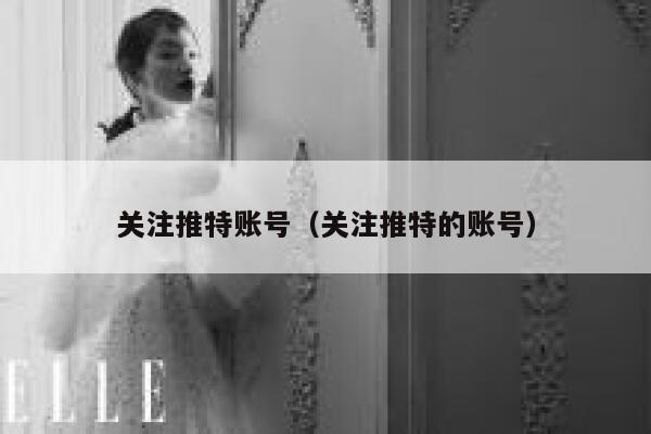 关注推特账号（关注推特的账号） 第1张