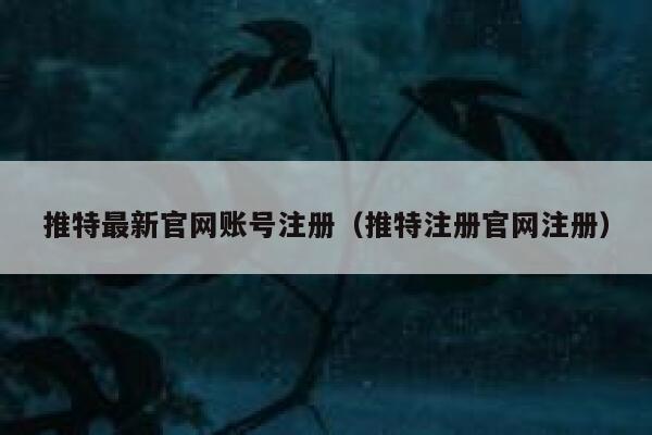 推特最新官网账号注册（推特注册官网注册） 第1张