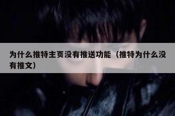 为什么推特主页没有推送功能（推特为什么没有推文） 第1张