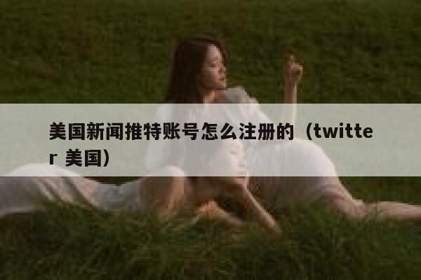 美国新闻推特账号怎么注册的（twitter 美国） 第1张