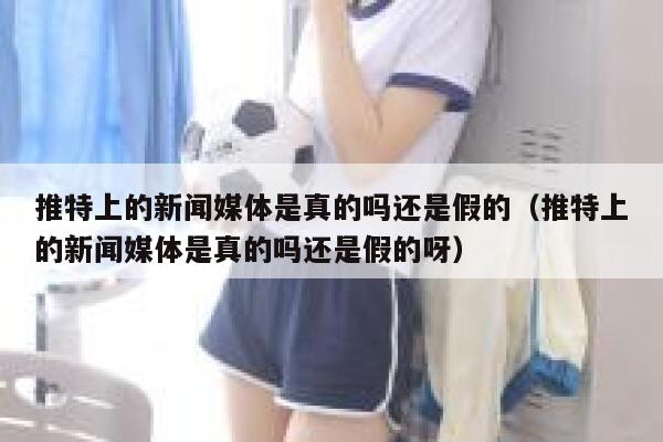 推特上的新闻媒体是真的吗还是假的（推特上的新闻媒体是真的吗还是假的呀） 第1张