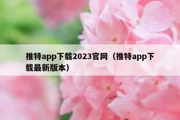 推特app下载2023官网（推特app下载最新版本） 第1张