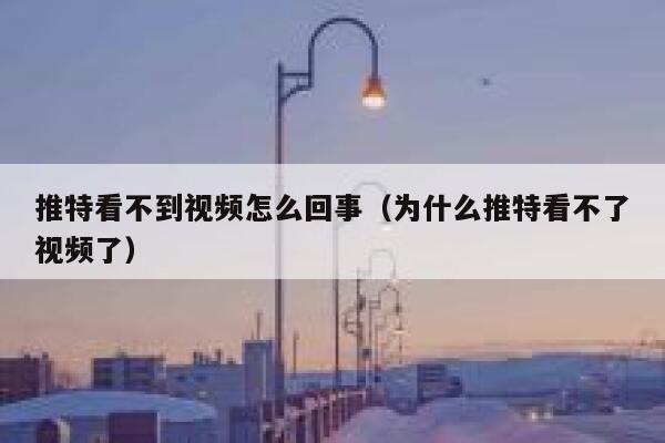 推特看不到视频怎么回事（为什么推特看不了视频了） 第1张