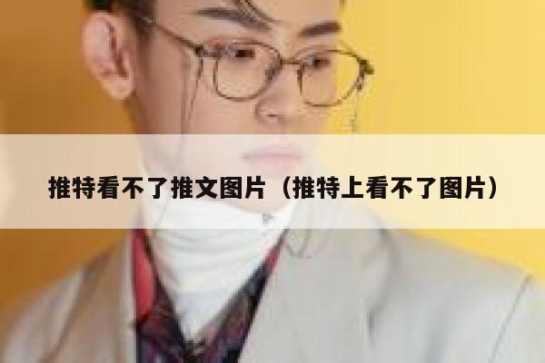推特看不了推文图片（推特上看不了图片） 第1张