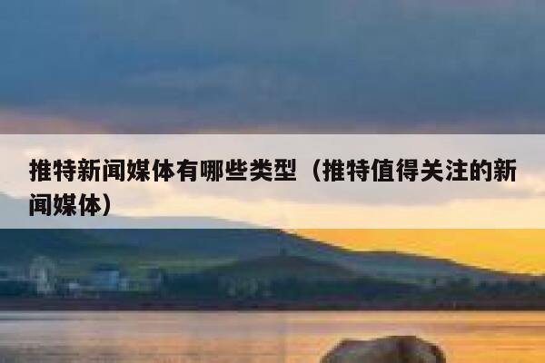 推特新闻媒体有哪些类型（推特值得关注的新闻媒体） 第1张