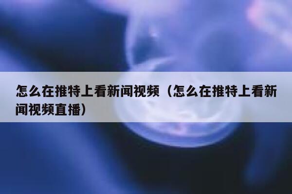 怎么在推特上看新闻视频（怎么在推特上看新闻视频直播） 第1张
