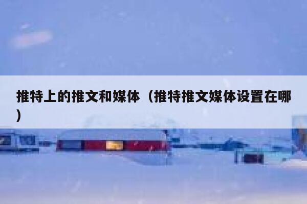 推特上的推文和媒体（推特推文媒体设置在哪） 第1张
