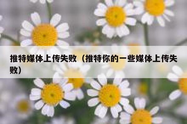 推特媒体上传失败（推特你的一些媒体上传失败） 第1张