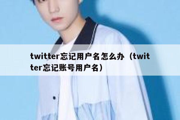 twitter忘记用户名怎么办（twitter忘记账号用户名） 第1张