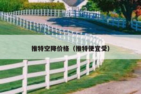 推特空降价格（推特便宜受） 第1张