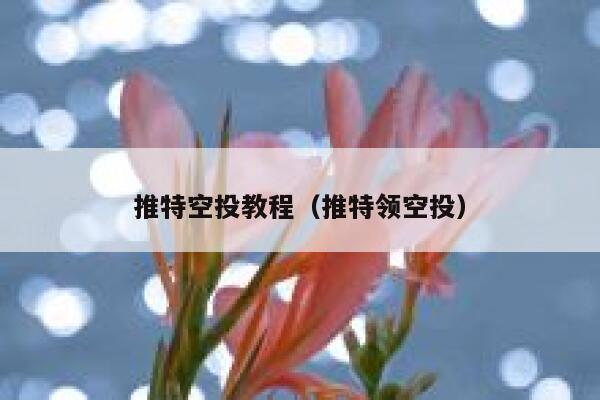 推特空投教程（推特领空投） 第1张