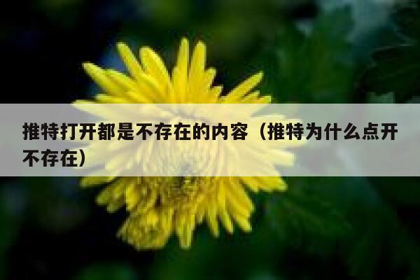 推特打开都是不存在的内容（推特为什么点开不存在） 第1张