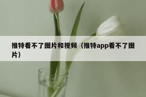 推特看不了图片和视频（推特app看不了图片） 第1张