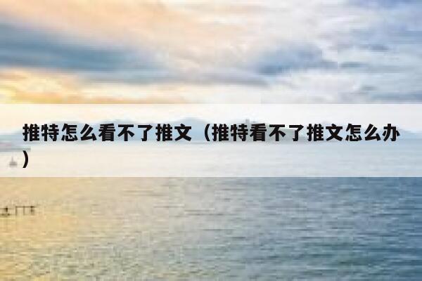 推特怎么看不了推文（推特看不了推文怎么办） 第1张