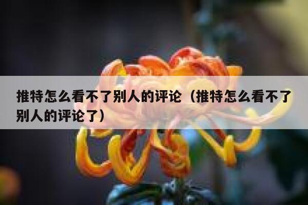 推特怎么看不了别人的评论（推特怎么看不了别人的评论了） 第1张