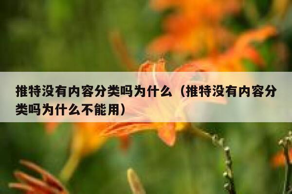 推特没有内容分类吗为什么（推特没有内容分类吗为什么不能用） 第1张