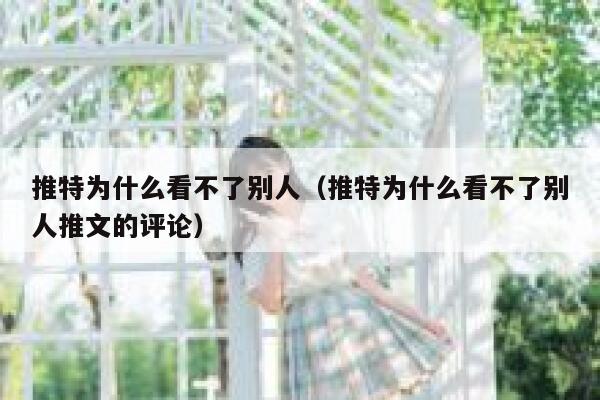 推特为什么看不了别人（推特为什么看不了别人推文的评论） 第1张
