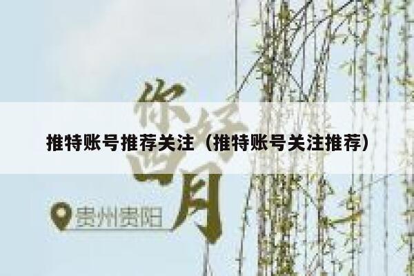 推特账号推荐关注（推特账号关注推荐） 第1张
