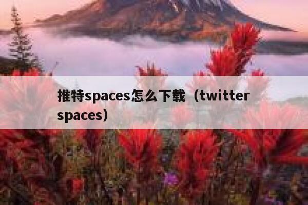 推特spaces怎么下载（twitterspaces） 第1张