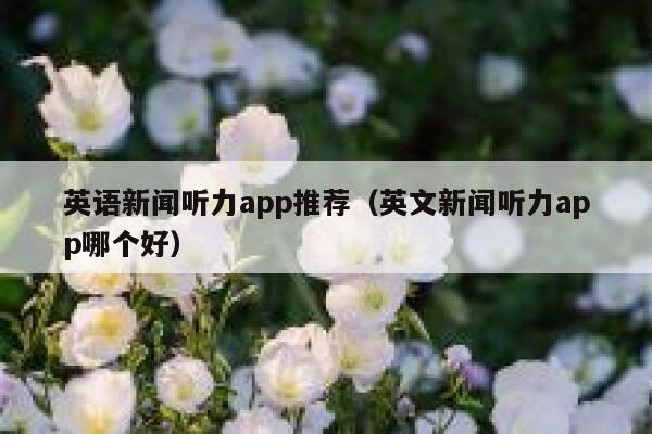 英语新闻听力app推荐（英文新闻听力app哪个好） 第1张