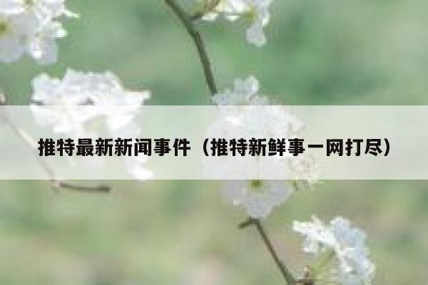 推特最新新闻事件（推特新鲜事一网打尽） 第1张